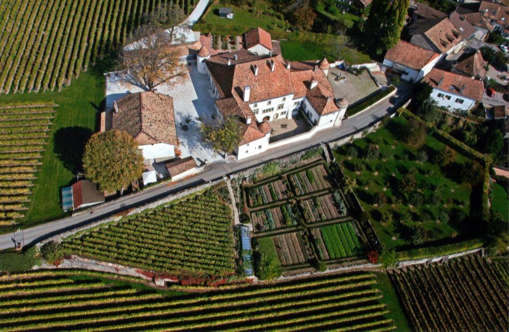 Chateau Le Rosey Hotel Nyon Exterior foto